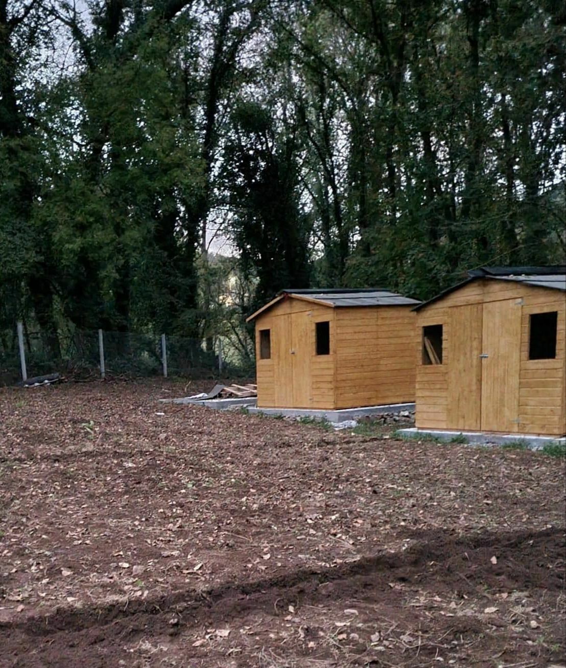Imatge pels mitjans: Refugi pels gats abandonats que no poden sobreviure al carrer, pels gats malalts que necessiten atenció veterinària